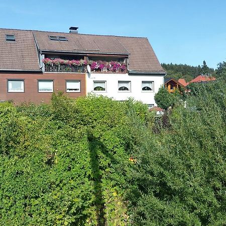 Apartment Bodeweg Schierke Exterior foto